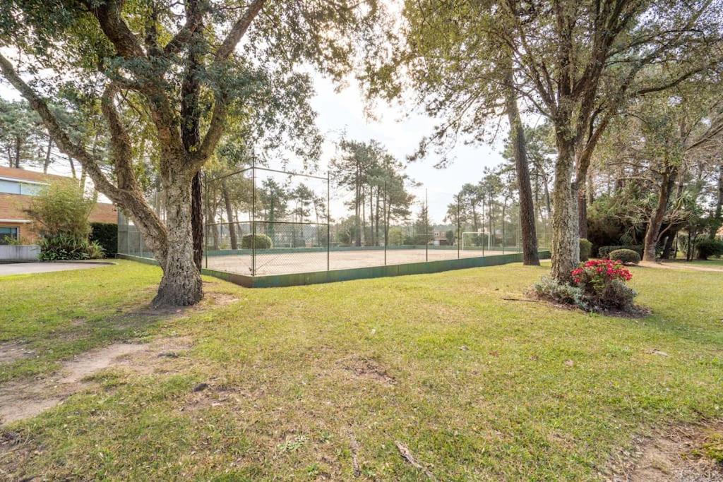Quinta Da Barca Guest House Esposende Ngoại thất bức ảnh